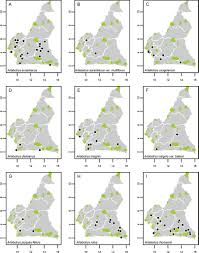Image result for Polyceratocarpus gossweileri