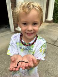 What is the identity of the rock found in Georgia?