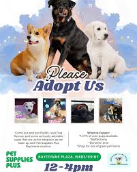 Rochester Woman Online added a...