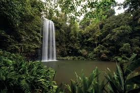 Auf diesem trail können sie vier tage lang über wolkenverhangen bergen, durch dschungelartigen regenwald und an unberührten stränden entlang wandern. Im Gelandewagen Durch Nord Queensland Rundreise In Australien