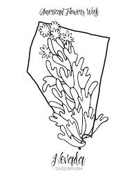 There are many colors of hibiscus flowers, but the yellow variety is considered. 50 State Flowers Free Coloring Pages American Flowers Week
