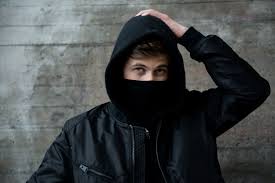 Below is a list of sites on the web that host the lyrics and in some cases the translation of the song diamond heart. 9 Questions For Alan Walker Answered Interview Edm Canada
