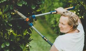 Before you begin, remove any rust from the blades with sandpaper, then clean them with warm soapy water. How To Sharpen Garden Shears Express Co Uk