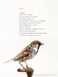 aan de muur poezieposters poezieposter met gedicht dectie van hans hagen how to look better poetry poem quotes