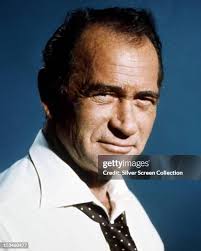 517 Darren Mcgavin Photos & High Res Pictures