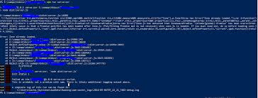 Angular Server Side Rendering Issue Zone Already Loaded