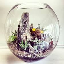 Step By Step Guide On How To Create The Perfect Indoor Botanical Terrarium Without Breaking The Bank Succulent Terrarium Miniature Garden Garden Terrarium