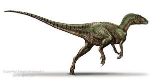 From wikimedia commons, the free media repository. Australovenator Information Sheet Prehistoric Animals Dinosaurs Prehistoric Animals Paleo Art