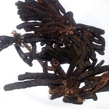 Image result for Piper guineense