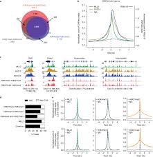 Praktik langsung desain pembelajaran kreatif loose parts Promoter Bivalency Favors An Open Chromatin Architecture In Embryonic Stem Cells Nature Genetics