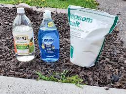 Grassy weeds are physiologically similar to the lawn so they are harder to control. 3 Ingredient Weed Killer Great For Sidewalk Cracks