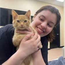 Urgent Care Veterinarian Bentonville AR