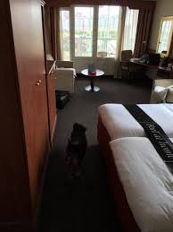 Das hotel carlton beach in rimini ist mit 3 sternen ausgezeichnet und stellt seinen gästen einen patio und die patios zur verfügung. Deluxe Kamer Bild Von Carlton Beach Scheveningen Tripadvisor