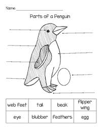 Our large collection of science worksheets are a great study tool for all ages. Body Parts Coloring Sheets Worksheets Teaching Resources Tpt
