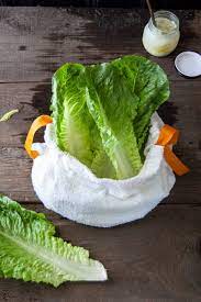 Any grit will sink to the bottom of the sink. How To Keep Lettuce Fresh Diy Salad Bag