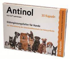 Meine hunde haben hd und arthrose, bislang bekommen sie nur pflanzliche mittel. Arthrose Beim Hund Kann Man Hinnehmen Muss Man Aber Nicht Sitzplatzfuss