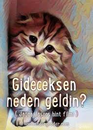 Korumali Blog Giris Blog Gelin