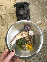 Raw Feeding For Pugs How Much To Feed The Pug Diary Raw Food Recipes Raw Dog Food Recipes Foods Dogs Can Eat