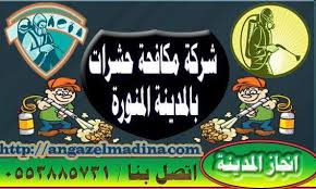 شركة مكافحة حشرات بالمدينة المنورة 0553885731 رش مبيدات بالمدينة المنورة Comic Book Cover Comic Books Book Cover
