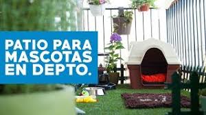 Si cuentas con alguna casa o propiedad que no utilices puedes acondicionarla para rentarla y obtener ingresos extras. Como Hacer Un Patio Para Mascotas En Departamentos Youtube