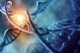 This chart provides a summary of how many ancestors you have in each generation, an approximate year they were born using a 25 year generation and a 30 year generation, respectively, and how much of their dna, on average, you could expect to carry, today. How Many Generations Back Is 1 Genomes Unzipped