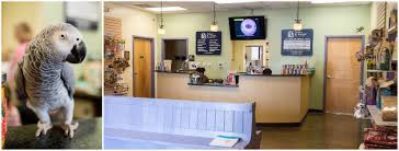 We have 6 experienced veterinarians and 10 registered technicians that are dedicated to helping many species of pets and their people. Avian And Exotic Animal Care Startseite Facebook