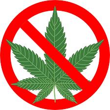 Image result for Marijuana#