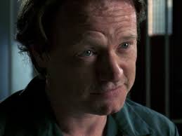 Law and order svu season 18 expired???? Celebrity Guest Stars Who Played Bad Guys On Law Order Svu