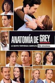 Know what this is about? Grey S Anatomy Saison 5 Streaming Vostfr