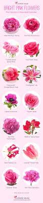 Don't forget to add the total number of people attending, including your date or children, but only if they are invited. Our Favorite Bright Pink Flowers Flower Muse Blog Wedding Flowers Pink Roses Pink Wedding Flowers Pink Flowers