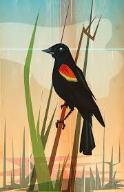 Black Bird With Yellow And Red Wing Items Similar To Red Winged Blackbird On Etsy Black Bird Tattoo Black Bird Red Wing Blackbird