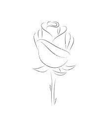 Simple Line Drawings Of Flowers Hand Drawing Poppy Flower Simple Rose Drawing Simple Roses Drawing Rose Outline