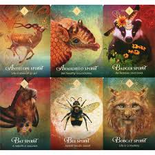 The Spirit Animal Oracle Colette Baron Reid Holisticshop Spirit Animal Spirit Animal Art Animal Spirit Guides