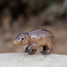 Image result for Hippocratea goetzei