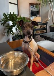 前田敦計画工房