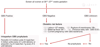 Image result for Group B Streptococcus Prophylaxis
