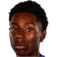 Crystal Palace New Players