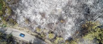 İnisiyatifimizin doğal üyeleri 7 şehirde işgalcilere 8 intikam ateşi indirmiştir.kürdistan'da barbar tc. Hatay Fire Pkk As A Result Of The Pkk Terrorists Opening Fire On The Camp 4 Tdkp Members Died While 2 Were Raiding A Mine Near The Village Of Seldiren In