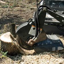Tree experts with tree services including tree removal, tree trimming, tree care, stump grinding and more for both residential and commercial customers. Stump Removal Forest City Landworks