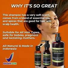 Green Mommy Shop Green Family Liquid Shampoo