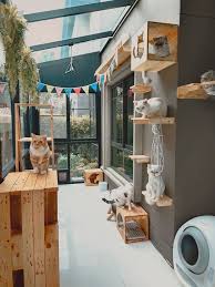 Berikut adalah satu reka bentuk contoh sebuah rumah minimalis moden imej 3d dengan bilik tidur dan bilik utama lain yang anda boleh membuat rujukan untuk membina rumah impian anda dan keluarga. Lihat Bagaimana Lelaki Dari Thailand Ini Bina Rumah Kucing Yang Awesome Dengan Bermodalkan Rm27 000