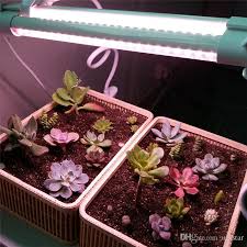 1ft 2ft 3ft 4ft T8 Tube Led Grow Light For Flower Shelf Double Row T8 Grow Tube Bar For Succulent Plants Flower Shelf Full Spectrum Uva Grow Light Led 300w Led Grow