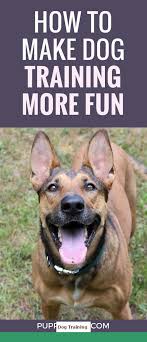 1 Teach Your Dog Left And Right And Dog Tricks Labrador Check Out The Image For Various Tips On Dog Tr Dog Training Dog Training Obedience Puppy Training