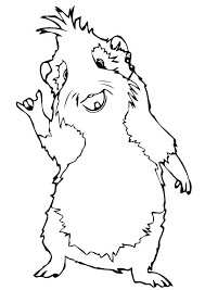 Guinea pig with a lovely hat: Pin On Animal Coloring Pages