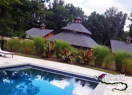 Pool Landscape Design Blossoming Beginnings