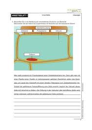 Kostenlose arbeitsblätter und unterrichtsmaterial für die grundschule zu den fächern deutsch, mathe, sachkunde und englisch sowie arbeitsblatt generatoren. Arbeitsblatt 1 Ionenfalle