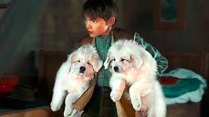 4 1 avis sur belle et sébastien + belle et sébastien 2 : Belle Et Sebastien 3 Bande Annonce 2018 Youtube