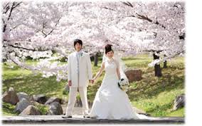 Walk on a flowery path, is like to walk on a path filled with happiness. Your Overseas Wedding Overseas Pre Wedding Photo Packages At Guam Bali Korea Australia New Zealand Tokyo Greece Prague Kamakura Hokkaido Nagoya Takayama Samui Macau Hong Kong Huahin Phuket Bangkok