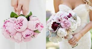 Download the perfect bouquet of flowers pictures. Popular Santorini Wedding Flowers 7 Best Choices Wedding Flowers