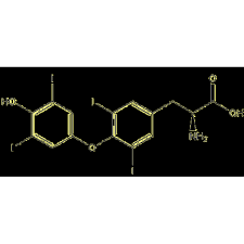 Image result for Thyroxine